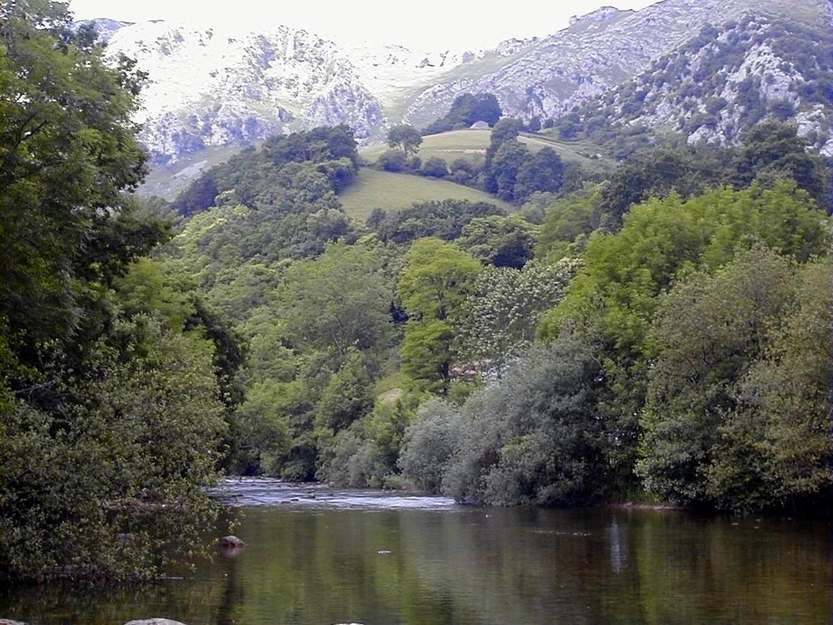 Apto Rio Ason, Desconexion Total Con Piscina Y Vistas Espectaculares Gibaja エクステリア 写真